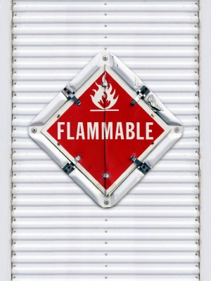 Дизайнерские фотообои Lavmi flammable